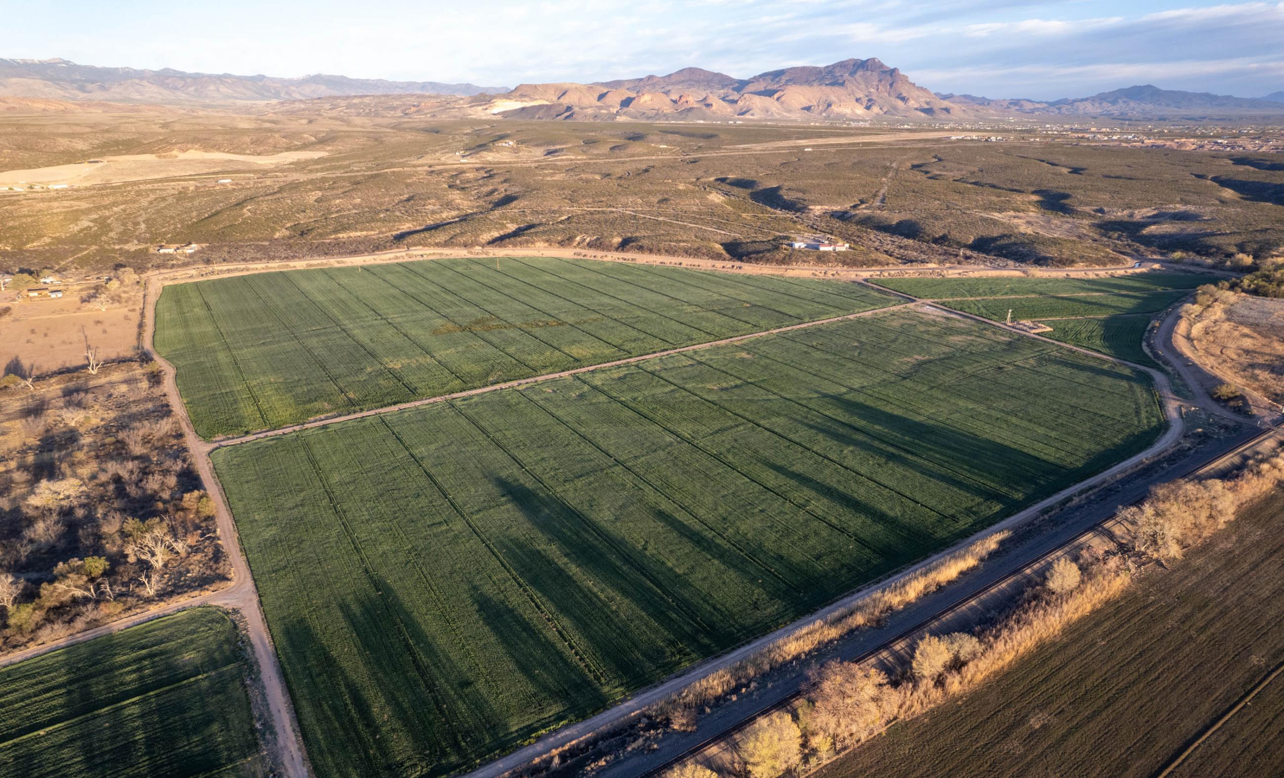 Mercer Farm Chas S. Middleton